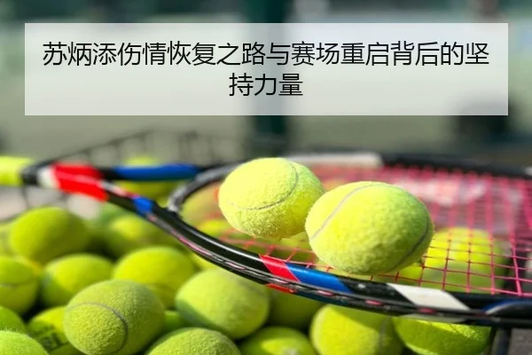 苏炳添伤情恢复之路与赛场重启背后的坚持力量